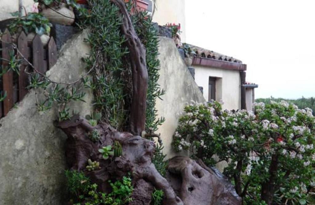 Agriturismo Ruvitello — Hotel in Misterbianco