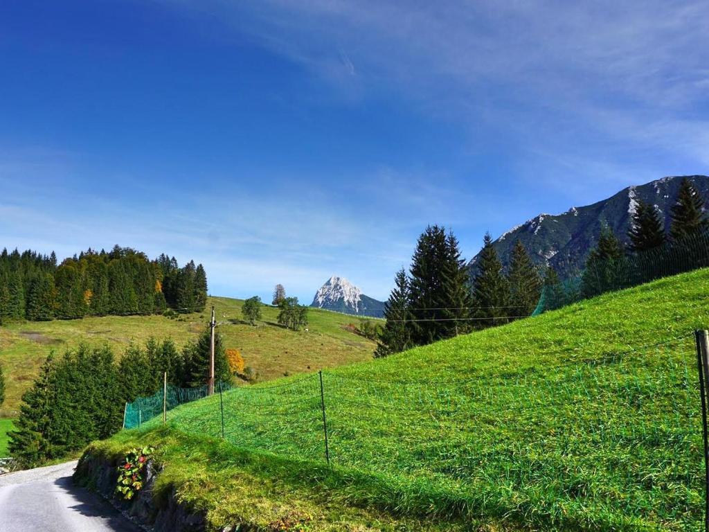 Guffertblick - 3