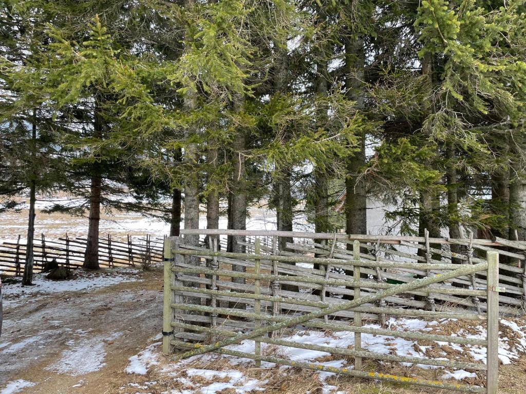 Teichalm Lodge Landhaus - 5
