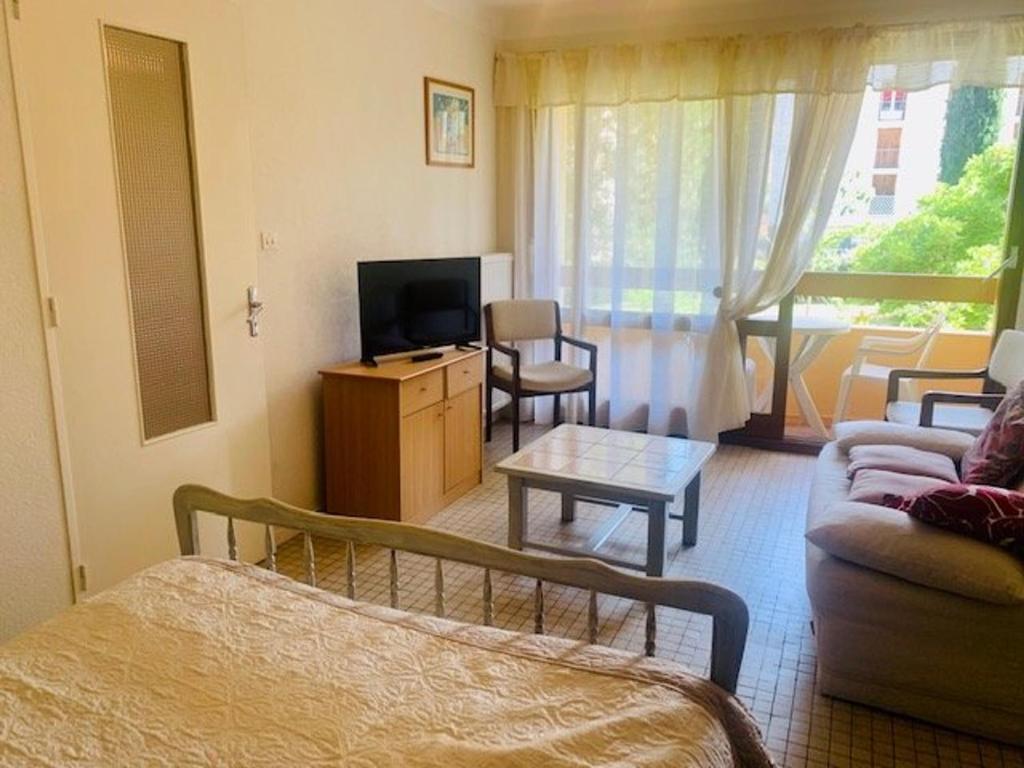 Studio F1 avec balcon, animaux admis, Amélie-les-Bains - 2