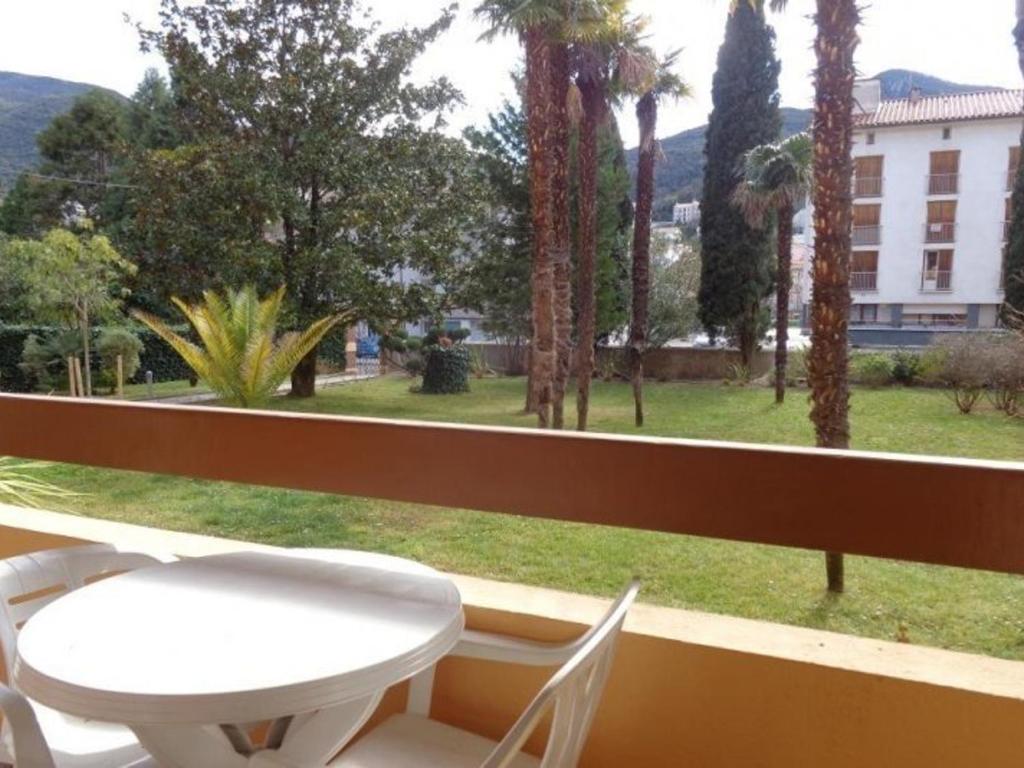 Studio F1 avec balcon, animaux admis, Amélie-les-Bains - 3