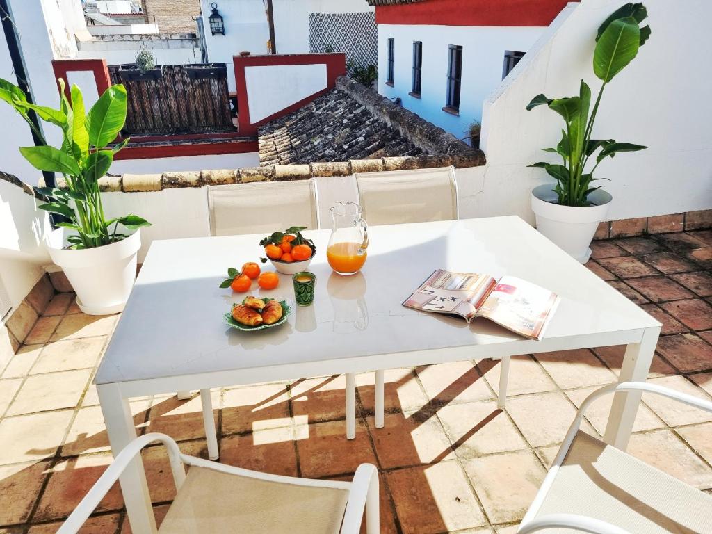 Loft & private Rooftop with BBQ, Sevilla