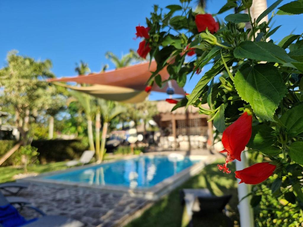 Hotel Enjoy photo