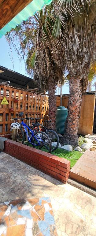 Hostel Willka Kuti Backpackers photo