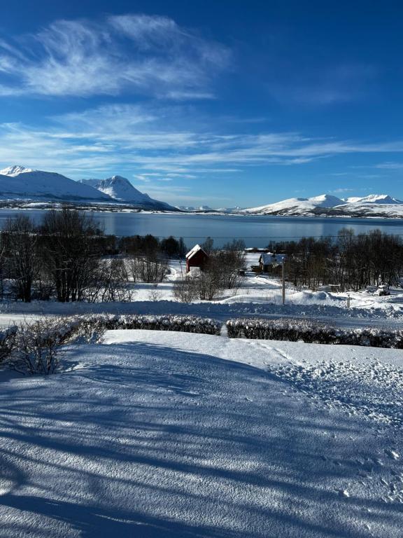 Liten kjellerleilighet. Landlig rolig omrade. photo