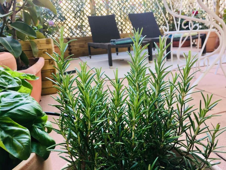 Charming studio mezzanine w/ large terrace - Nice - 3