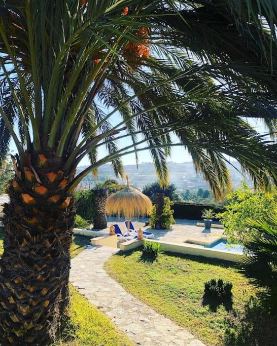 Rustico Appartment 'Olta' in finca, see-and garden side, Teulada