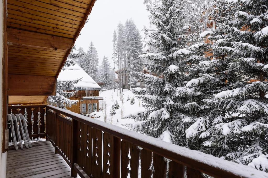 Résidence Les Sapins - Courchevel 1850