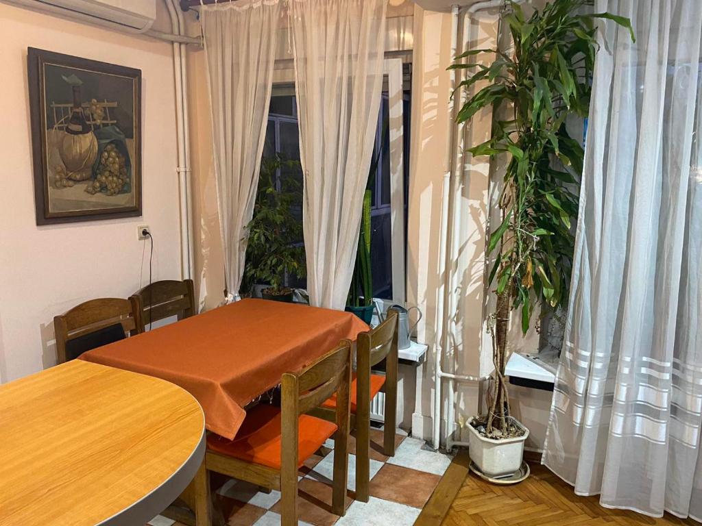 Popay Centar Apartment - 5