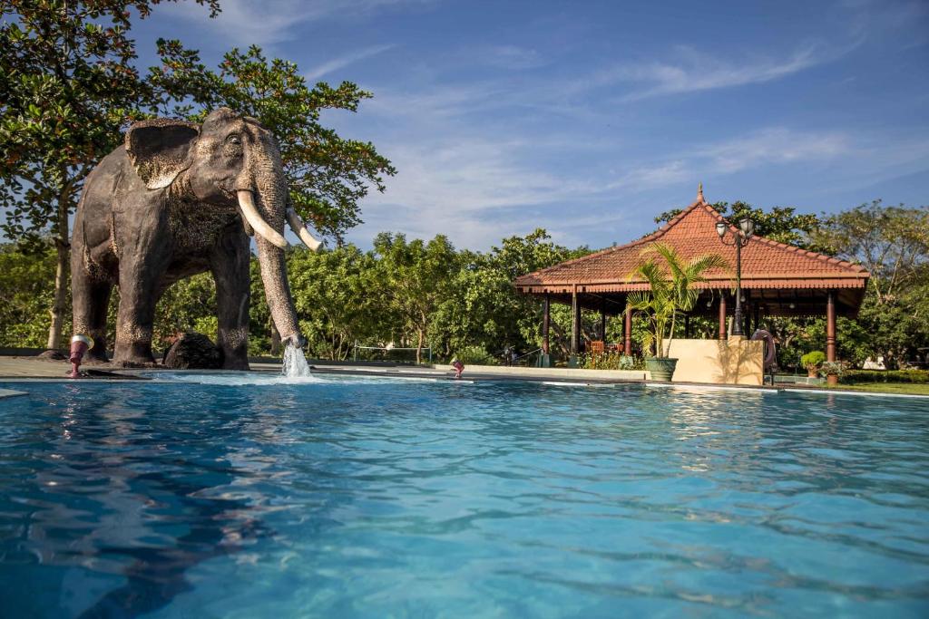Ayurveda Paradise Maho photo