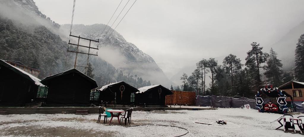 StayHigh Camps &amp; Cottages — Hotel in Kasol