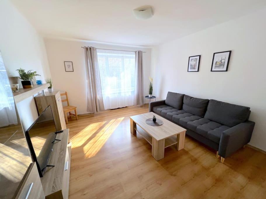 Apartmán u Labe, Děčín