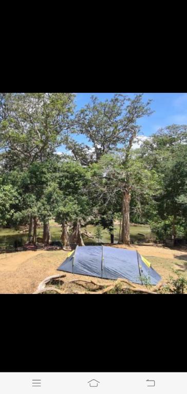 Jungle river humbhaha hostel photo