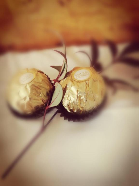 Pepper Tree Guesthouse, Bloemfontein