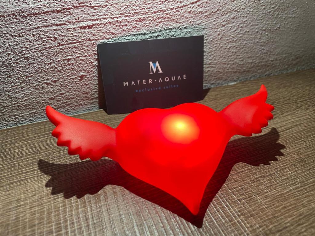 Mater Aquae - 1