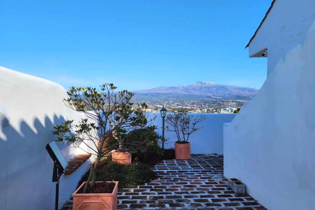 팜트리 빌라 호텔 이미지 2