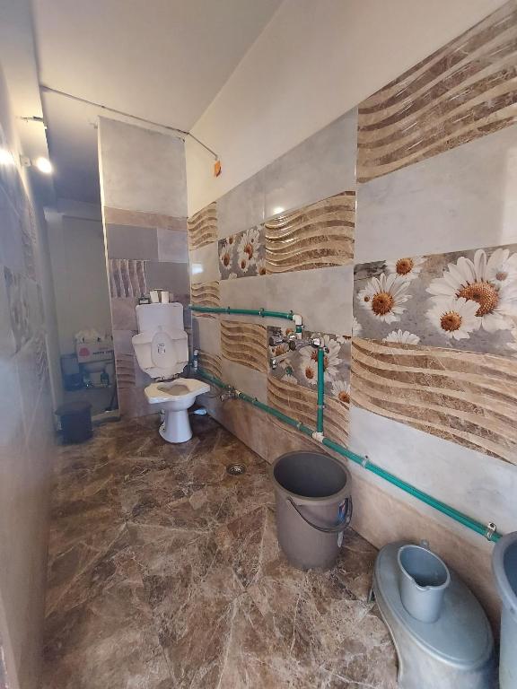 Zostel Homes Tabo (Lahaul and Spiti/Kaza) photo