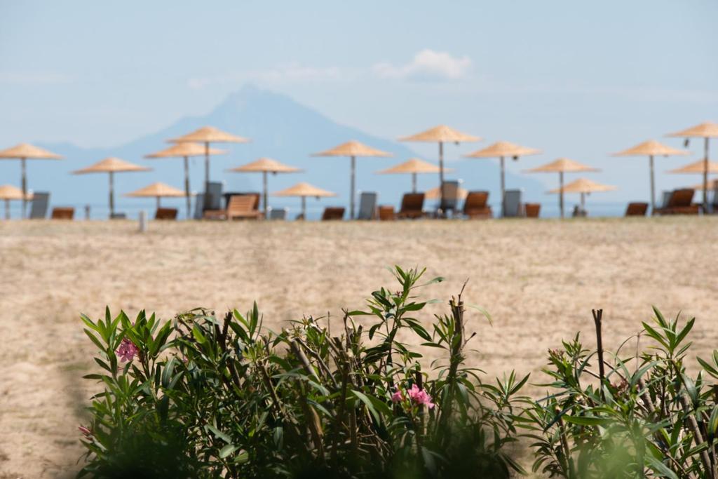 Pyrgos Bungalows photo