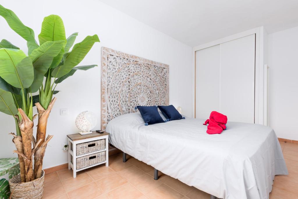 Home2Book Aloha Palm - 4