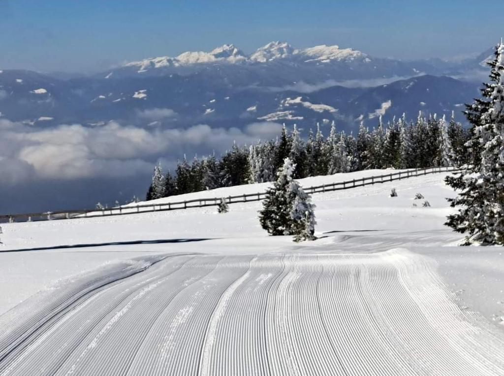 Apartmaji Koželj, Ribnica na Pohorju
