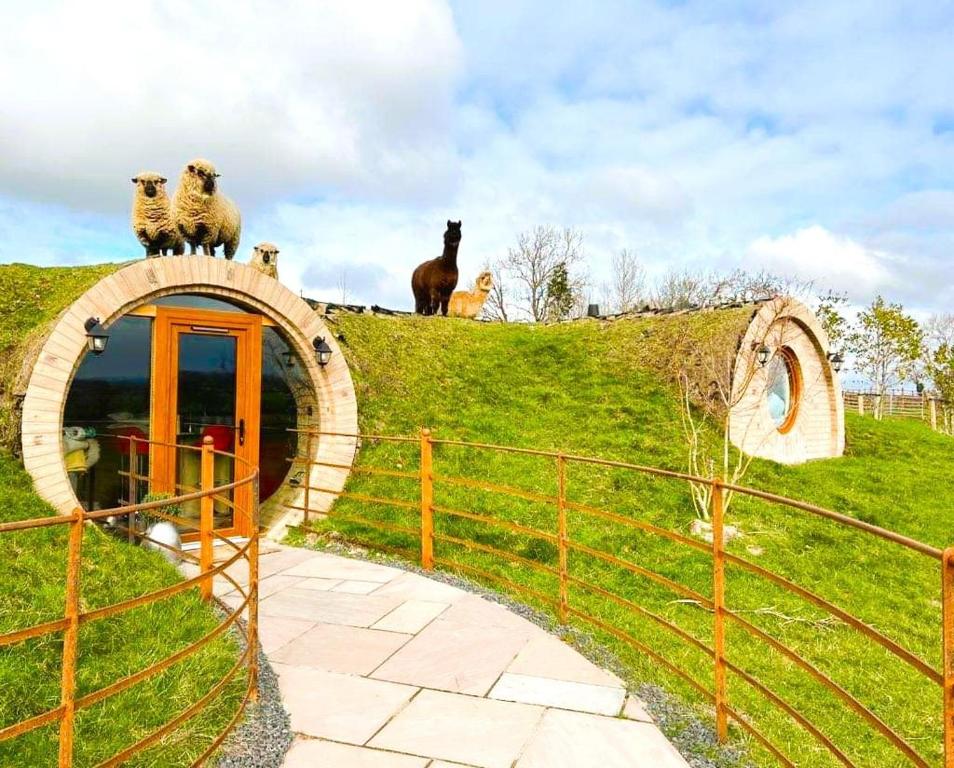 Rabbit Warren, Llansantffraid-ym-Mechain