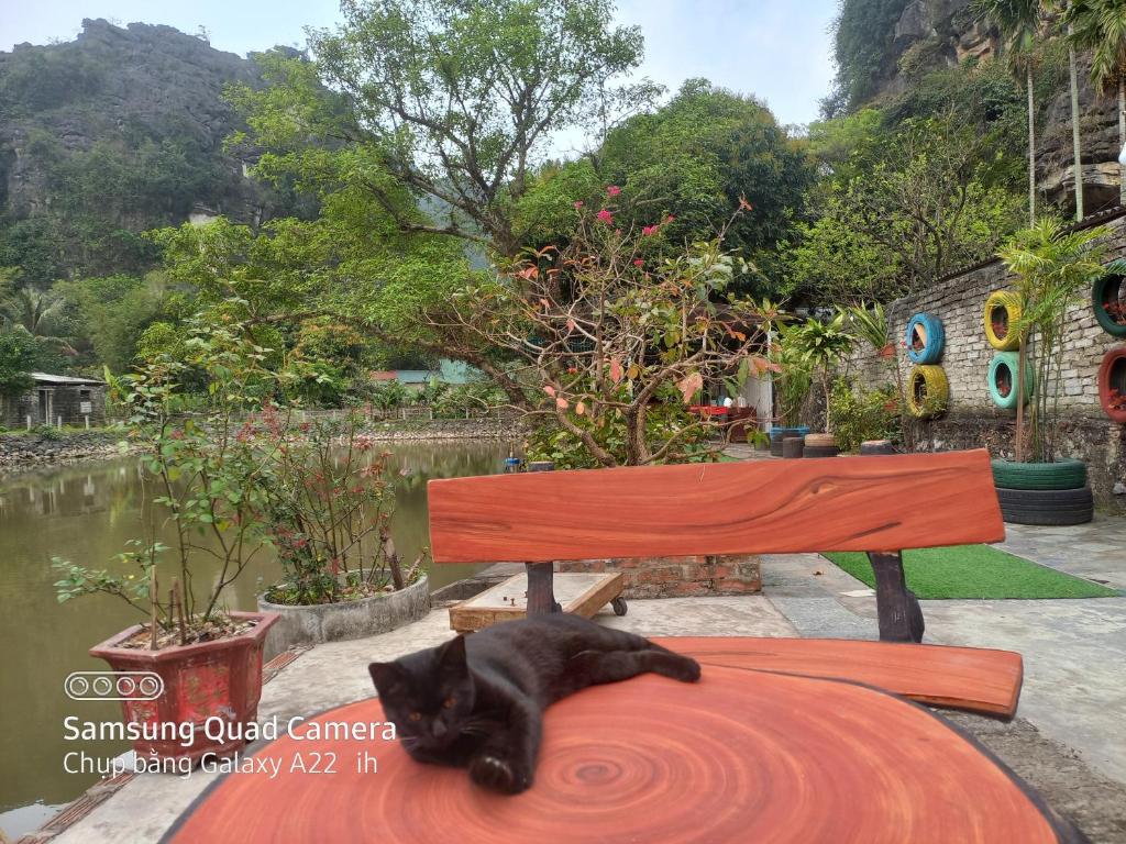 Trang An Pristine View homestay