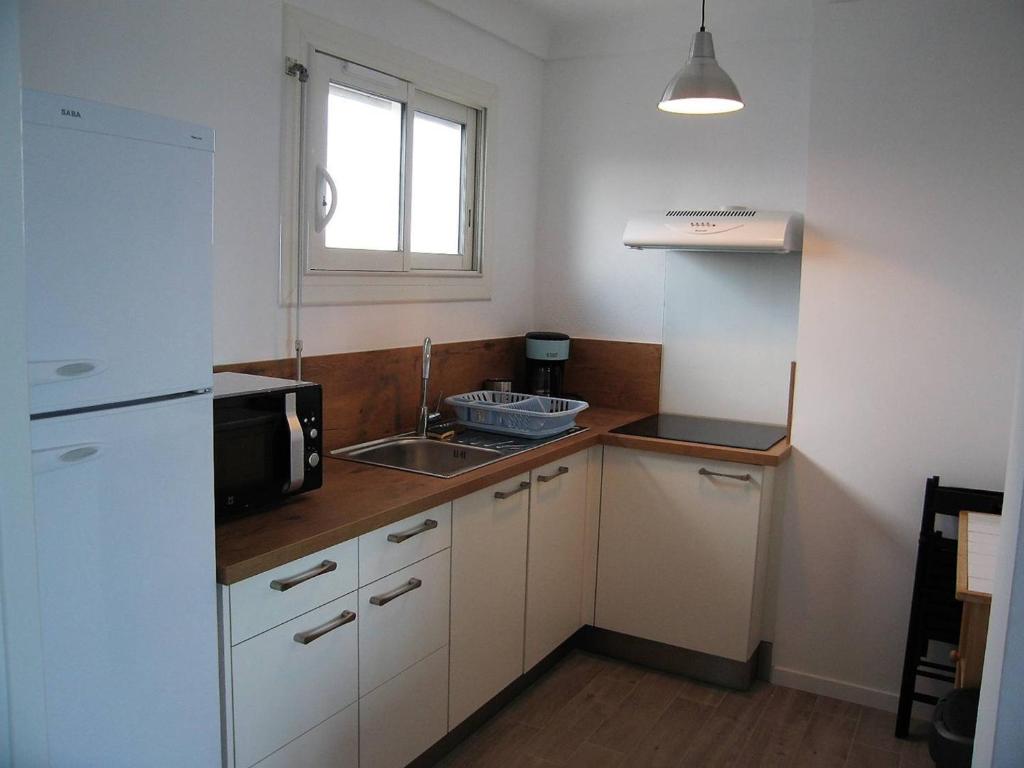 Appartement T2 rénové, 4 couchages, parking, face plage, centre de Saint-Cyprien - FR-1-106-74 - 2