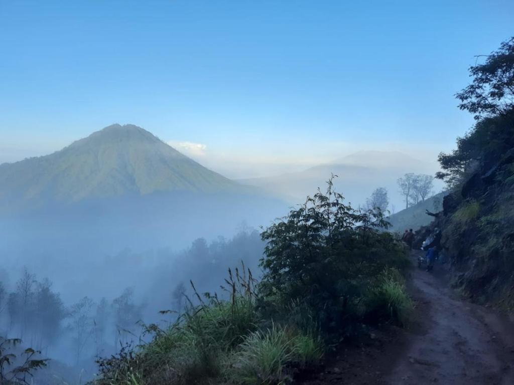 Avrila Ijen Guest House photo