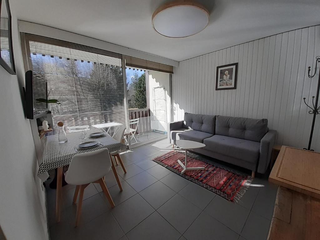studio quartier calme centre ville vue mont Blanc — Hotel in Chamonix-Mont-Blanc