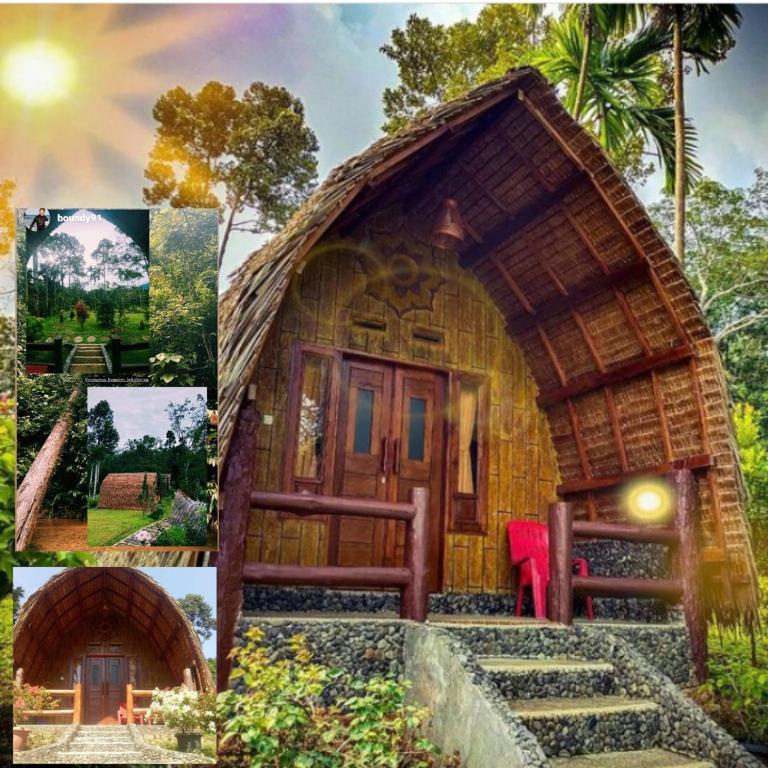 Orangutan Bungalow photo