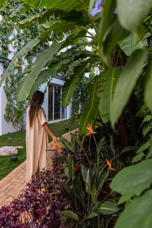 Surrounding environment