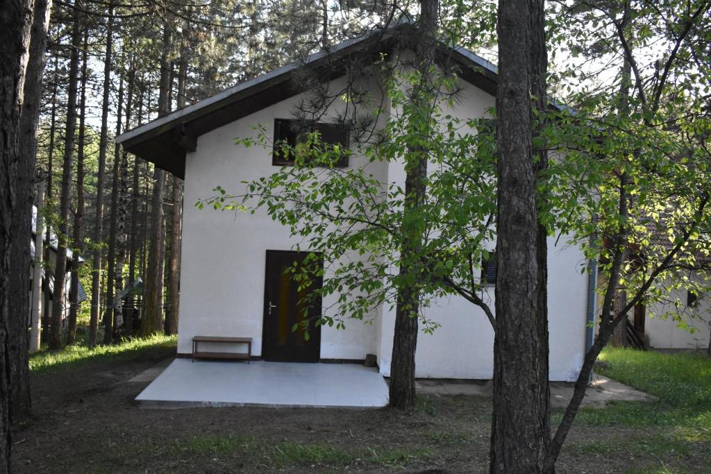 FOREST DREAM HOUSE- centar — Hotel in Divcibare