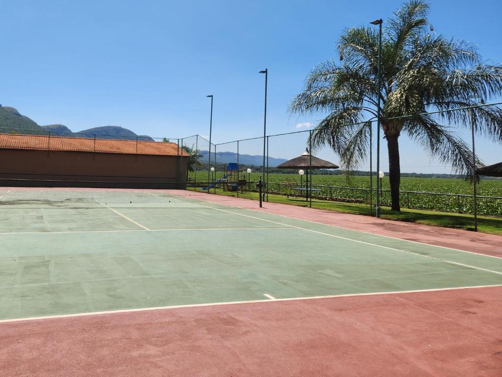 Kosmos, Hartbeespoort photo