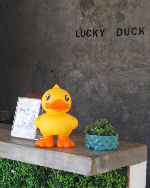 Lucky Duck PJ photo