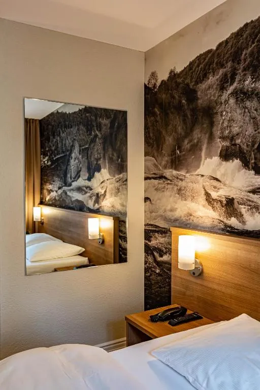 Hotel Kronenhof, hotel in Schaffhausen