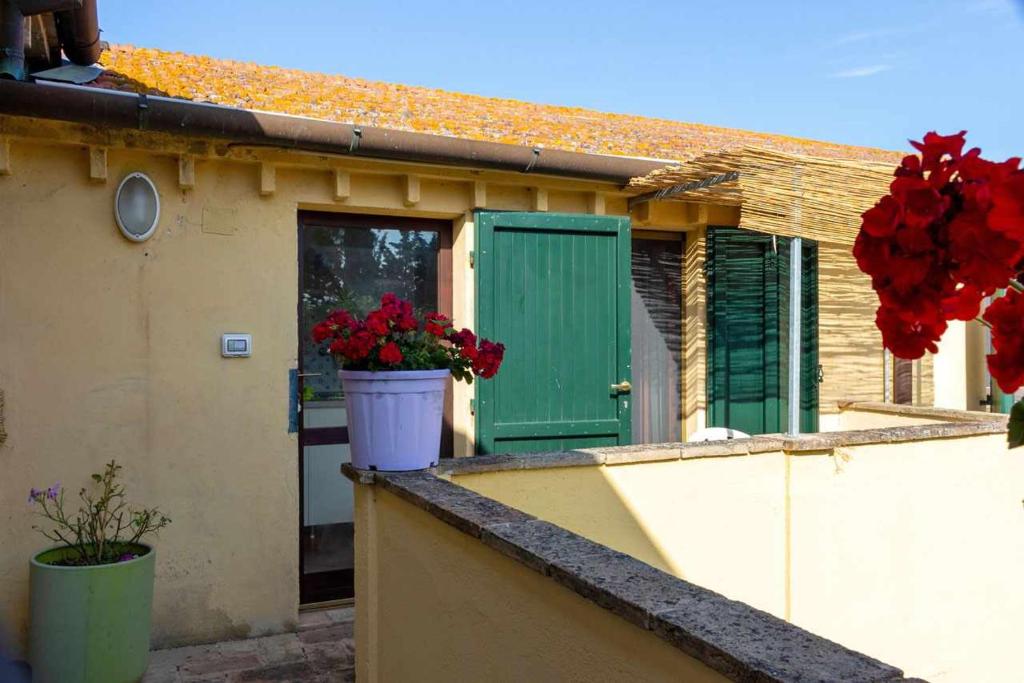R22 - Casa Geranio: delizioso appartamentino - 3
