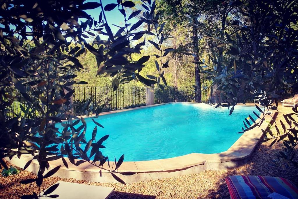 Le Figuier, suite en plein vignoble avec piscine 2-3 pers