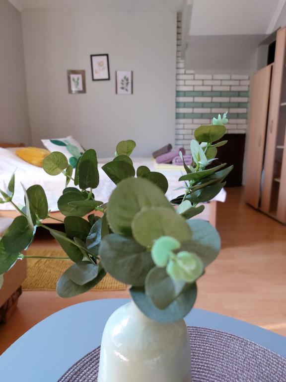 OLOR Apartman 2 - Banostor photo