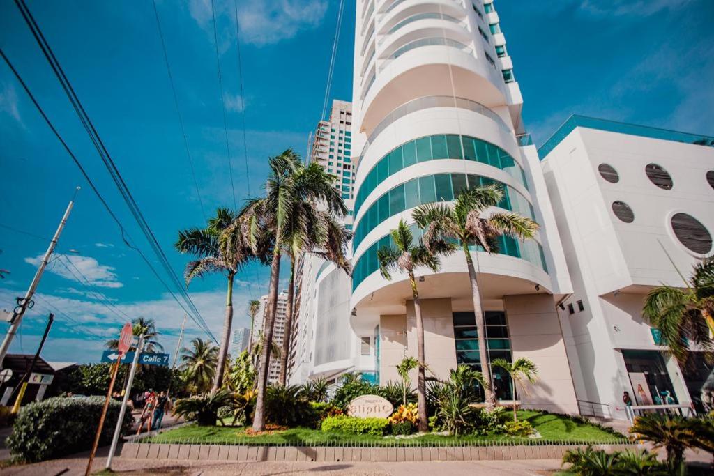 TU VISTA IDEAL - 3