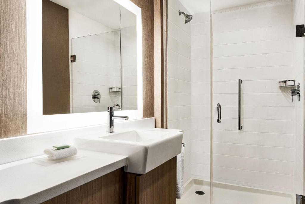 SpringHill Suites by Marriott Camp Hill photo