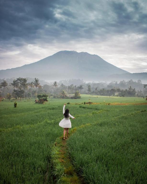 Sweet Escape photo