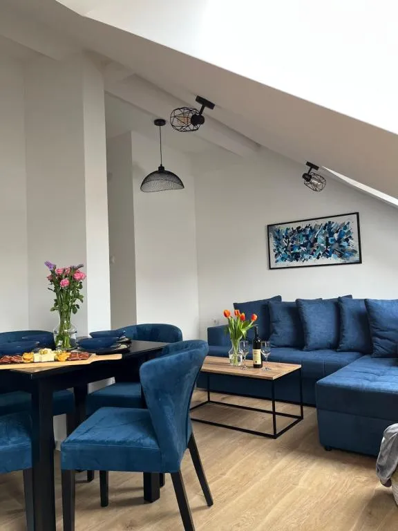 Loft apart Pluzine，位于普卢日内的酒店