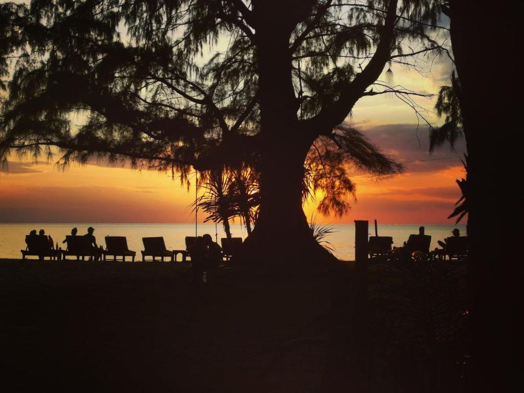 Surrounding environment