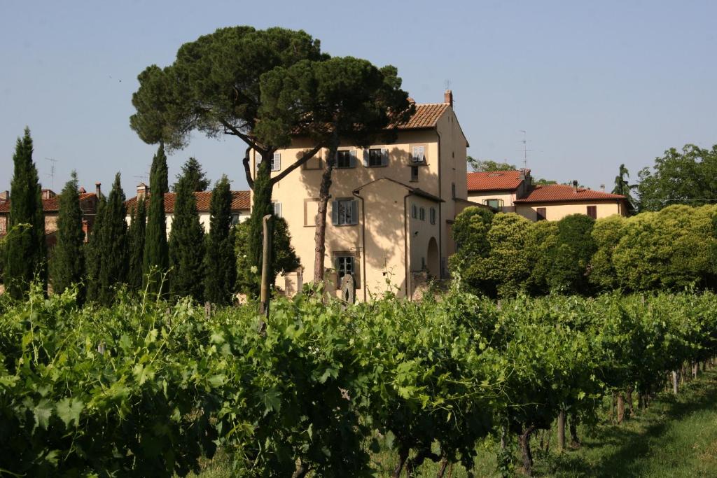 Villa Guadagni Cappelli - 5