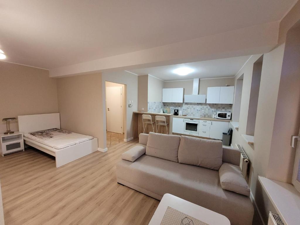 Apartament na Waskiej 전경
