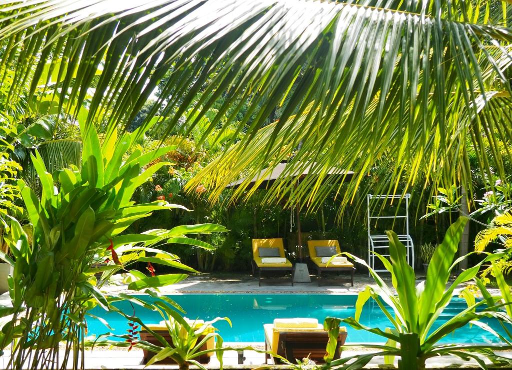 Temple House Villa photo