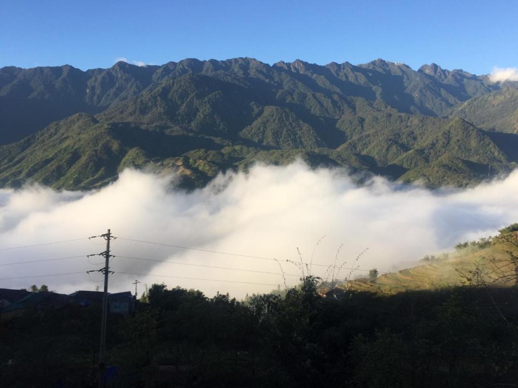 Surrounding environment