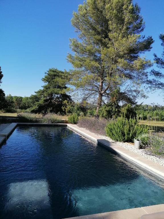 Studio en Provence au milieu des Vignes