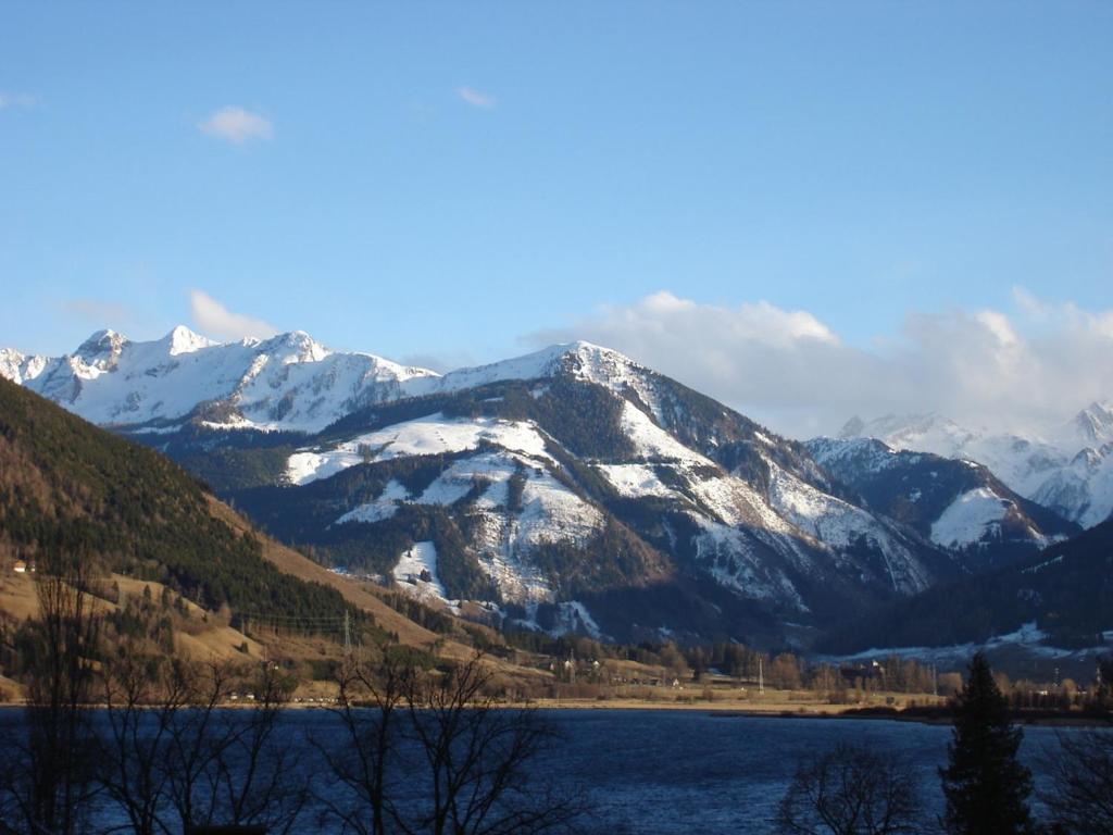 Apartment Seeblick by Pinzgau Holidays - 3