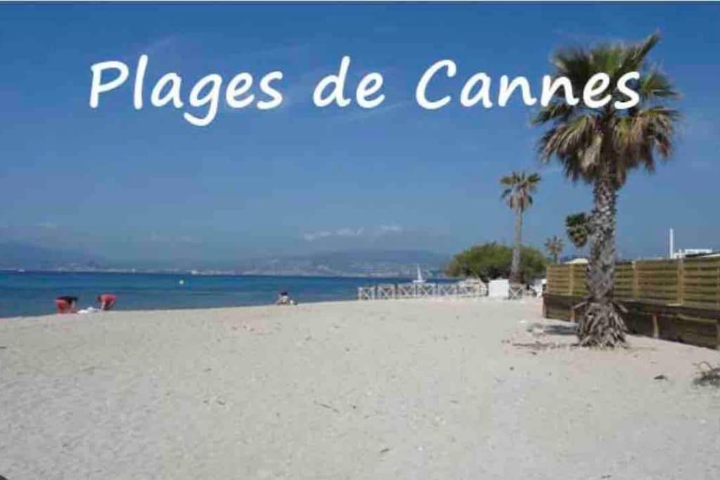 Cannes centre , magnifique , 5 min palais - 5